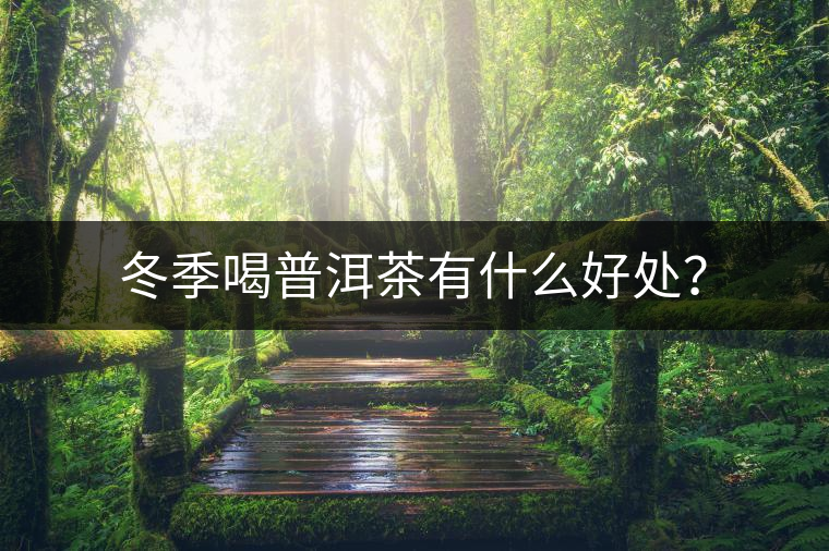 冬季喝普洱茶有什么好處？