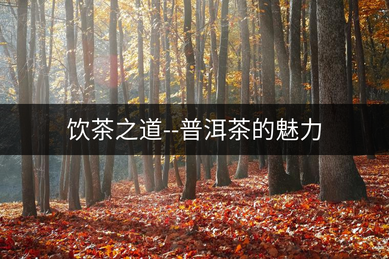 飲茶之道--普洱茶的魅力