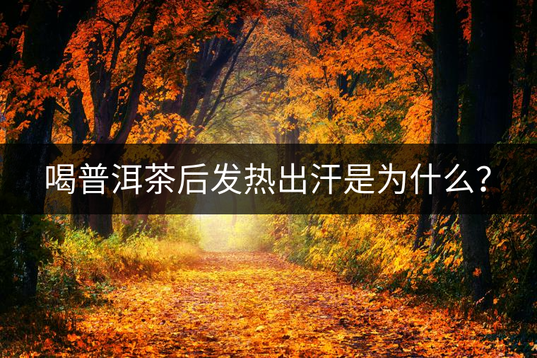 喝普洱茶后發(fā)熱出汗是為什么？