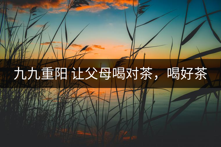 九九重陽(yáng) 讓父母喝對(duì)茶，喝好茶