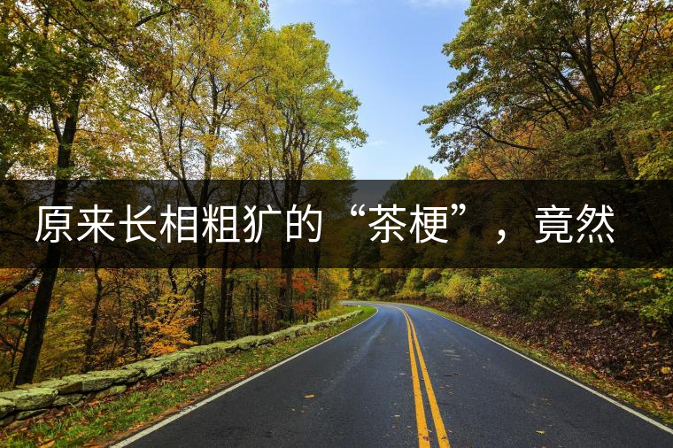 原來(lái)長(zhǎng)相粗獷的“茶?！?，竟然還有這么多的作用