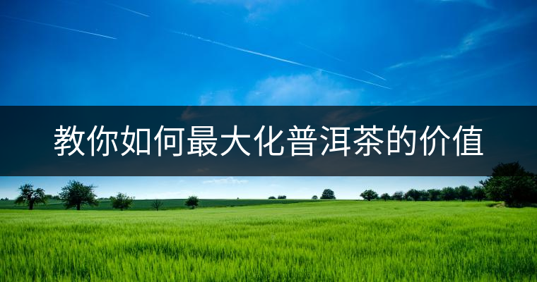 教你如何最大化普洱茶的價值 教你如何最大化普洱茶的價值