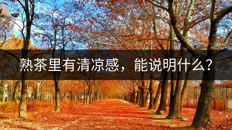 熟茶里有清涼感，能說明什么？