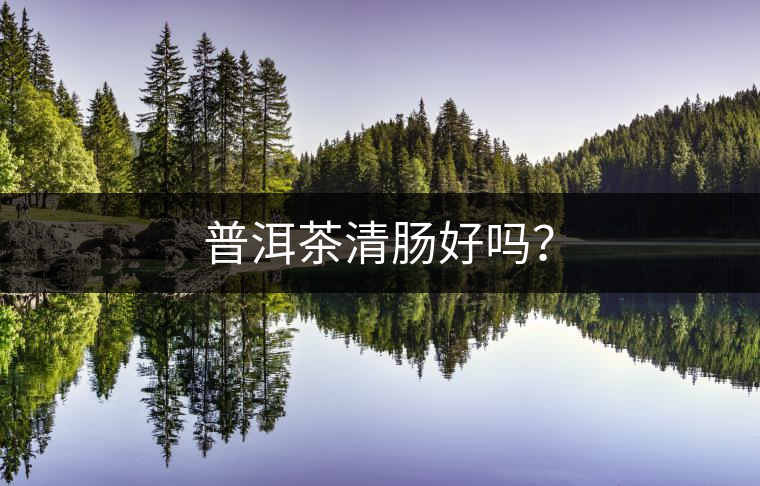 普洱茶清腸好嗎？