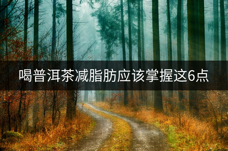 喝普洱茶減脂肪應(yīng)該掌握這6點(diǎn)