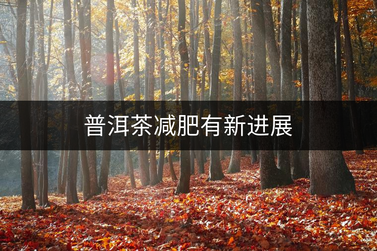 普洱茶減肥有新進展