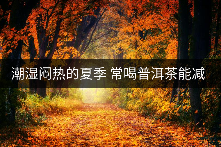 潮濕悶熱的夏季 常喝普洱茶能減肥