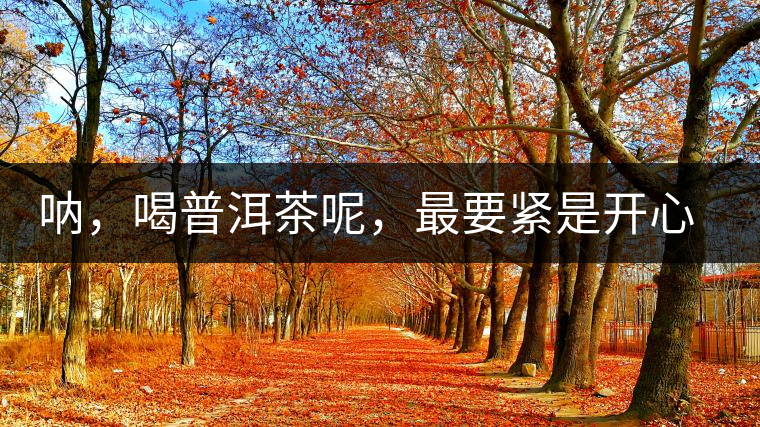 吶，喝普洱茶呢，最要緊是開心，至于減肥呢……