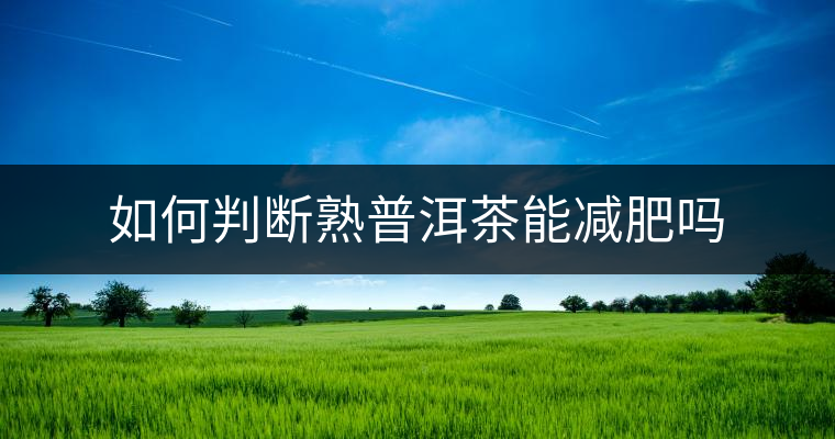 如何判斷熟普洱茶能減肥嗎