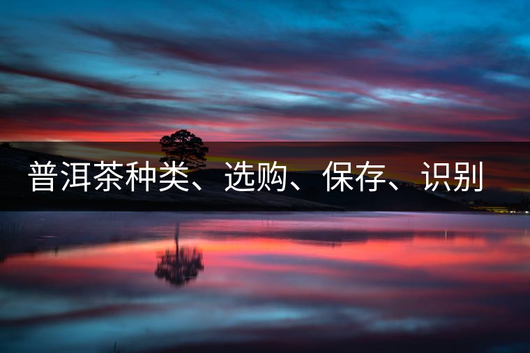 普洱茶種類、選購、保存、識別、沖泡