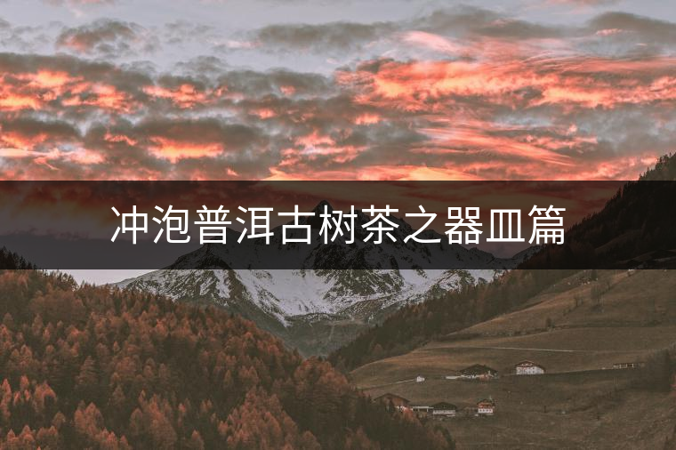 沖泡普洱古樹茶之器皿篇