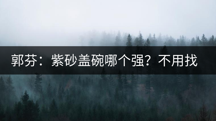 郭芬：紫砂蓋碗哪個強？不用找藍翔