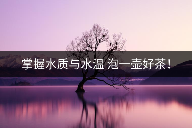 掌握水質(zhì)與水溫 泡一壺好茶！