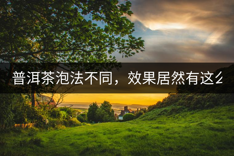普洱茶泡法不同，效果居然有這么大區(qū)別！