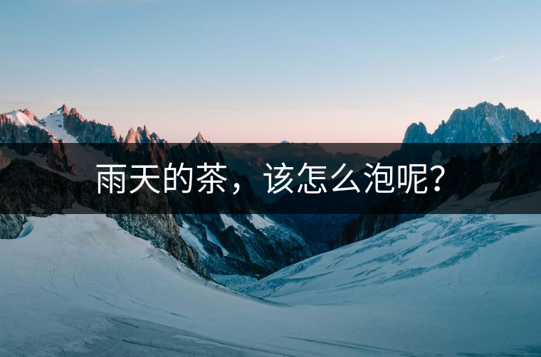 雨天的茶，該怎么泡呢？
