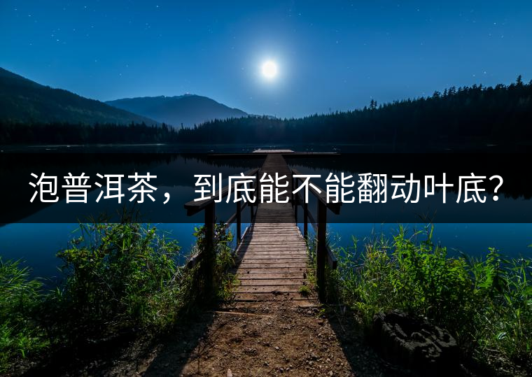 泡普洱茶，到底能不能翻動(dòng)葉底？