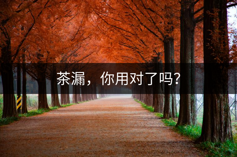 茶漏，你用對(duì)了嗎？