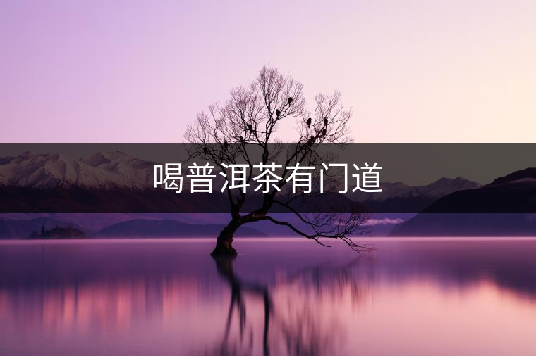 喝普洱茶有門道