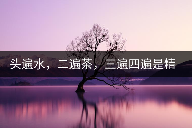 頭遍水，二遍茶，三遍四遍是精華