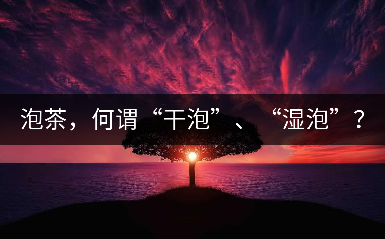 泡茶，何謂“干泡”、“濕泡”？