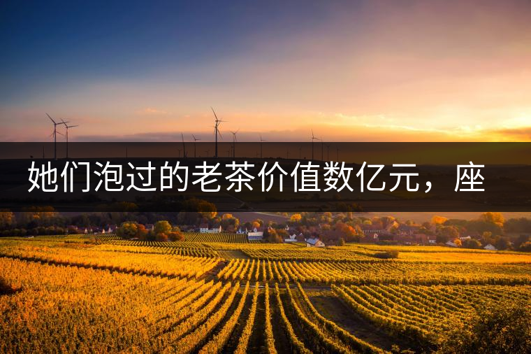 她們泡過的老茶價(jià)值數(shù)億元，座上賓是余秋雨、李云迪……