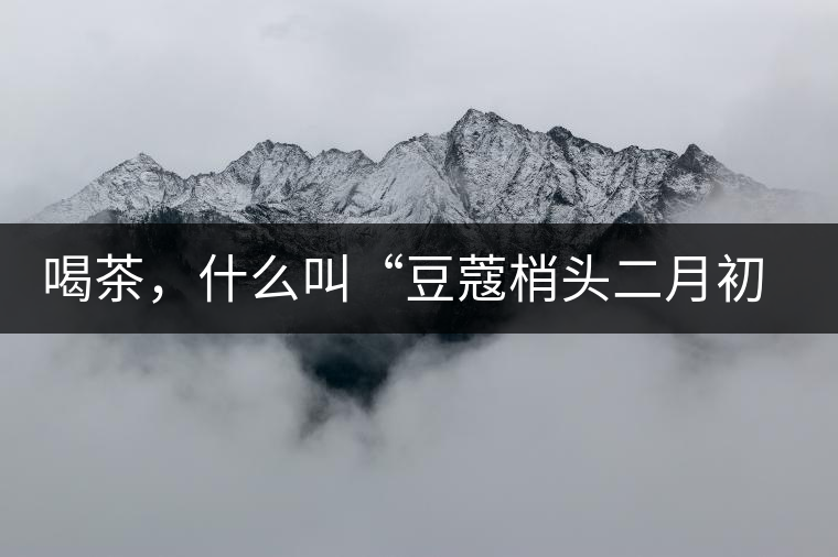 喝茶，什么叫“豆蔻梢頭二月初”？