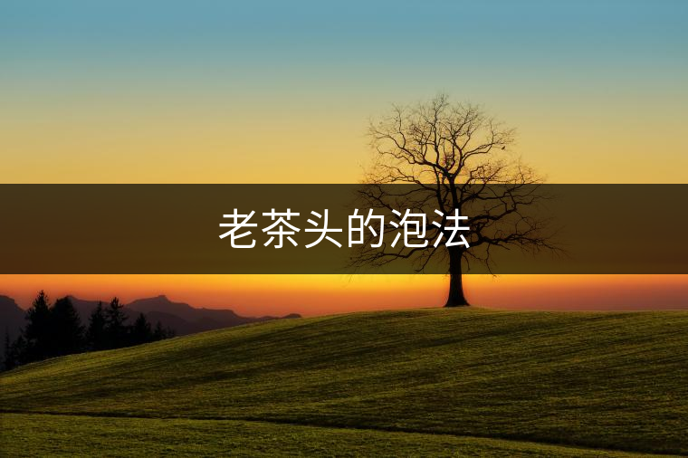 老茶頭的泡法 老茶頭的泡法