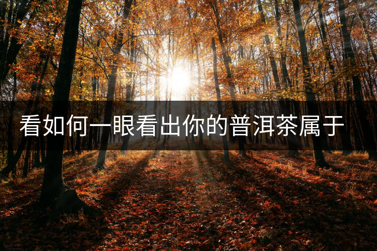 看如何一眼看出你的普洱茶屬于哪個歷史年代？