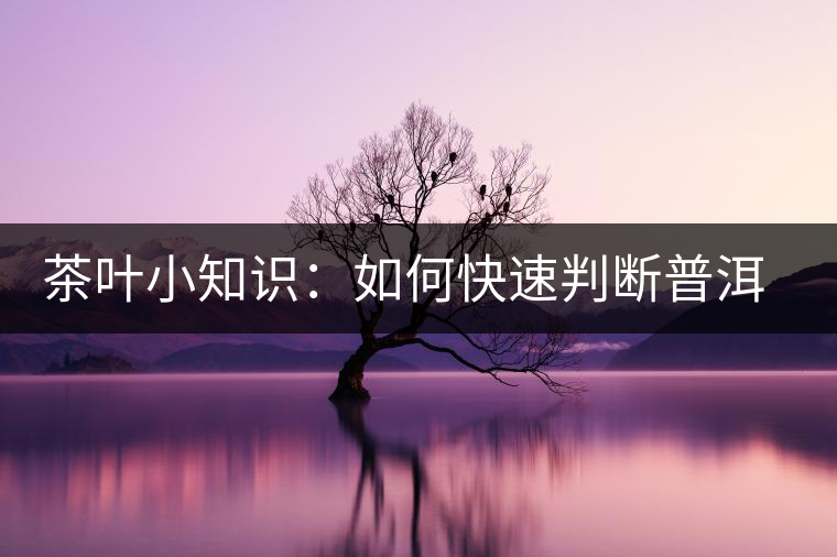 茶葉小知識：如何快速判斷普洱茶品級高低？