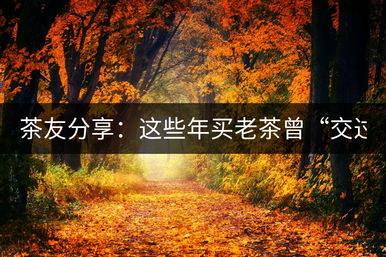 茶友分享：這些年買老茶曾“交過的學(xué)費(fèi)”