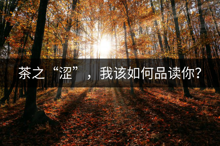 茶之“澀”，我該如何品讀你？