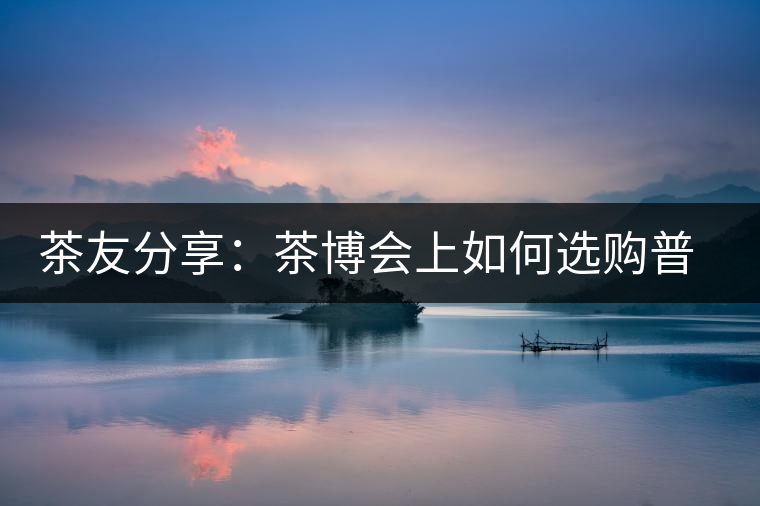 茶友分享：茶博會(huì)上如何選購普洱茶？