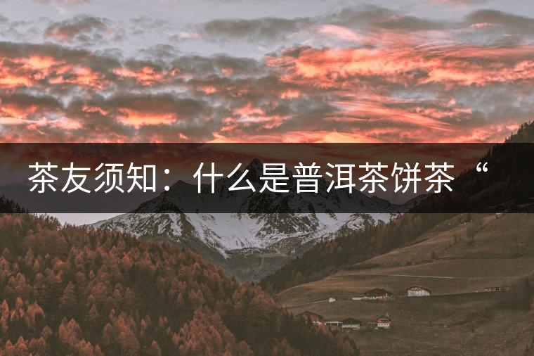 茶友須知：什么是普洱茶餅茶“八病”？如何鑒別？
