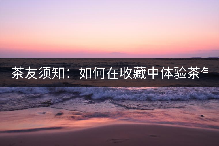 茶友須知：如何在收藏中體驗(yàn)茶氣？