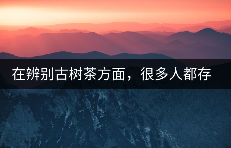 在辨別古樹茶方面，很多人都存在著誤區(qū)