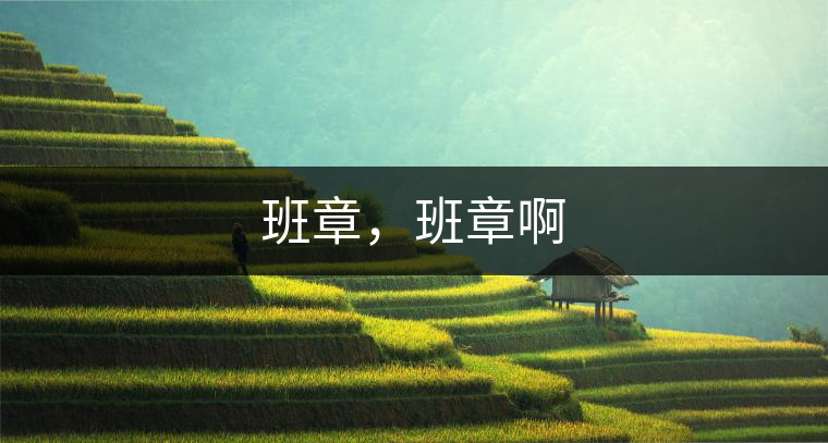 班章，班章啊