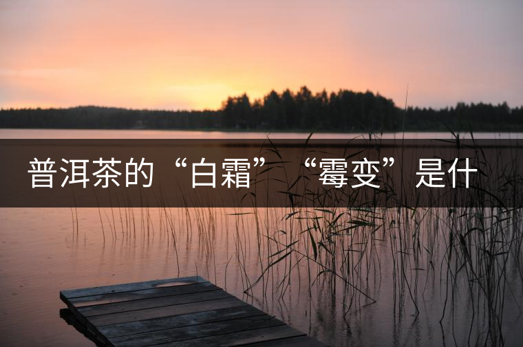 普洱茶的“白霜”“霉變”是什么鬼？