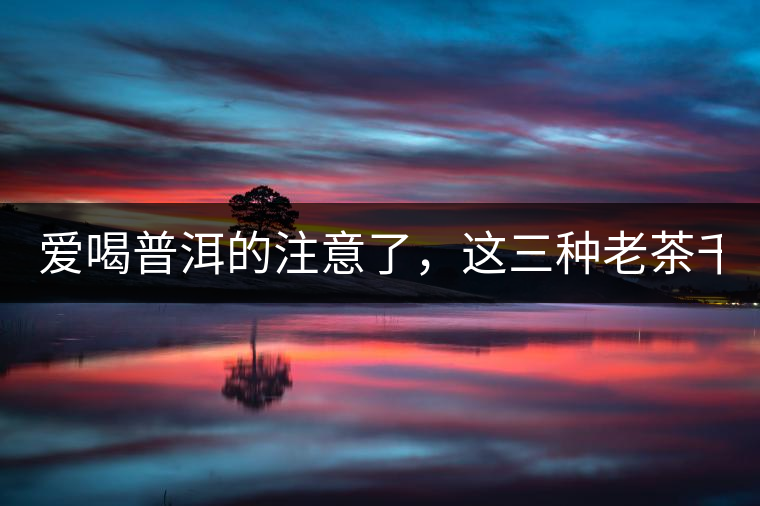 愛喝普洱的注意了，這三種老茶千萬不能買！