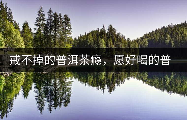 戒不掉的普洱茶癮，愿好喝的普洱茶陪伴你一生