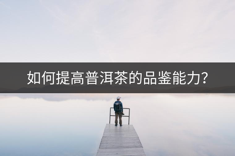 如何提高普洱茶的品鑒能力？