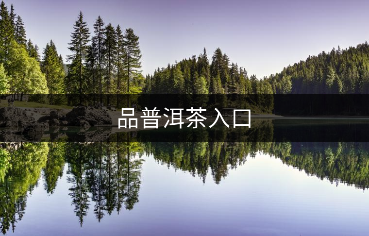品普洱茶入口