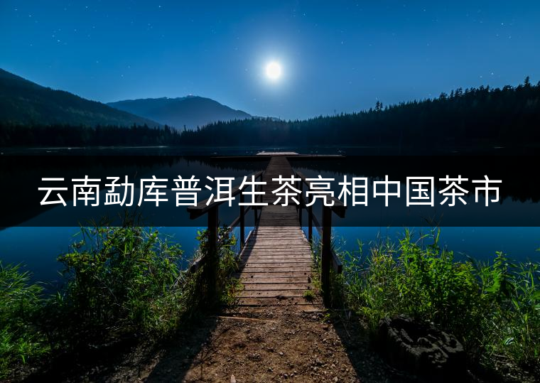 云南勐庫(kù)普洱生茶亮相中國(guó)茶市 云南勐庫(kù)普洱生茶亮相中國(guó)茶市