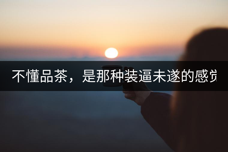 不懂品茶，是那種裝逼未遂的感覺？