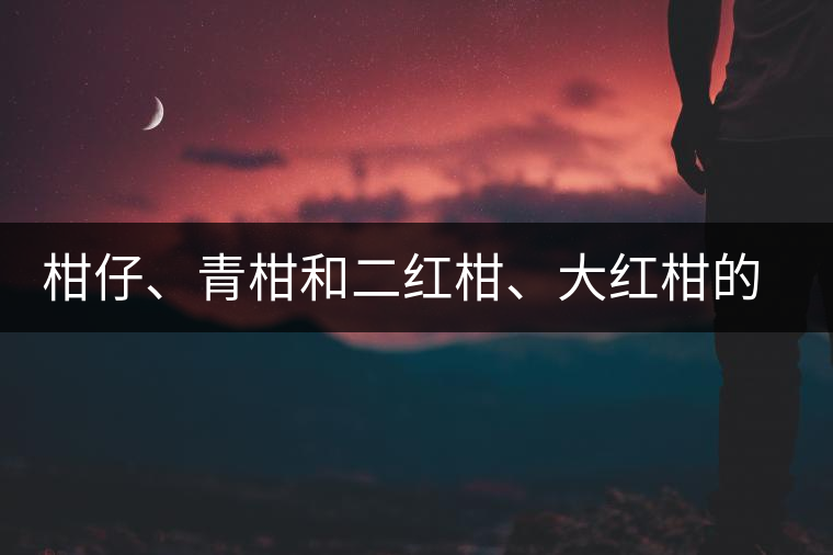 柑仔、青柑和二紅柑、大紅柑的區(qū)別，你可知道？