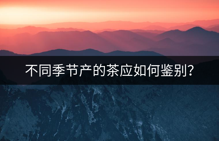 不同季節(jié)產(chǎn)的茶應(yīng)如何鑒別？