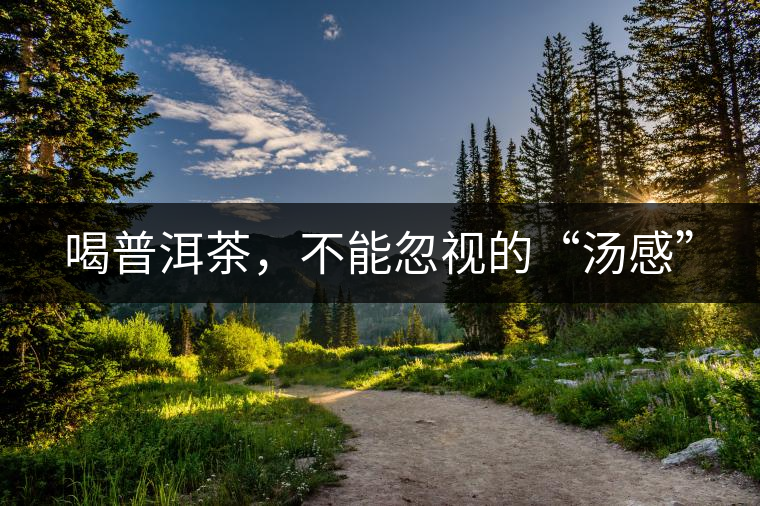 喝普洱茶，不能忽視的“湯感”
