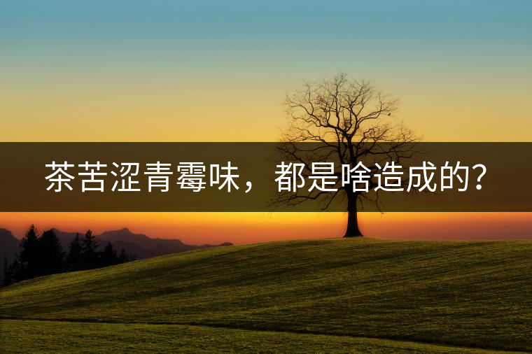 茶苦澀青霉味，都是啥造成的？