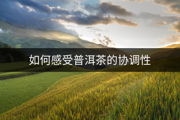 如何感受普洱茶的協(xié)調(diào)性