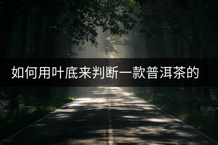 如何用葉底來判斷一款普洱茶的優(yōu)劣？
