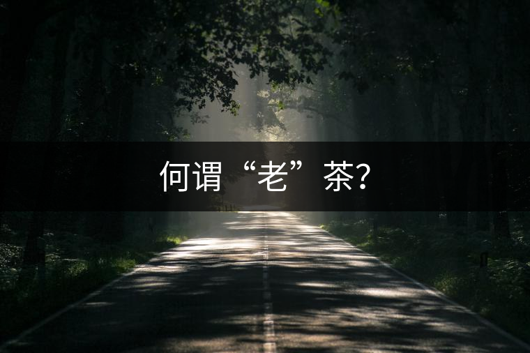 何謂“老”茶？